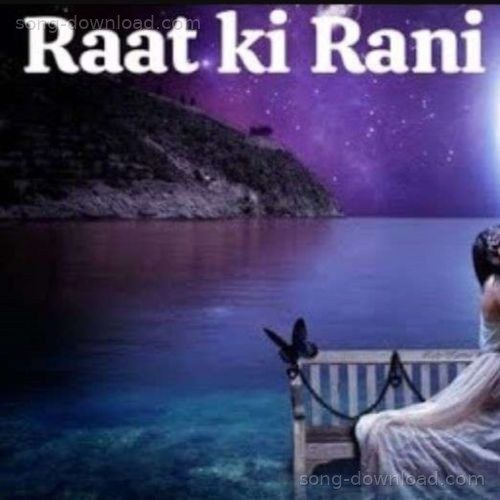 RAAT KI RANI Nimit MP3 Download